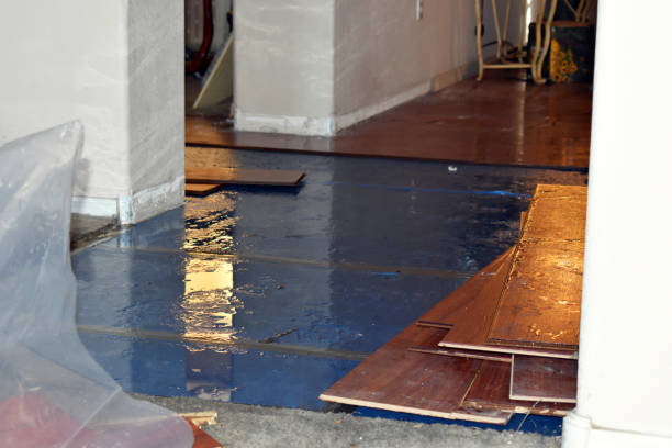 Professional Emergency Water Damage Restoration technician working in Paris, IL